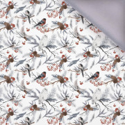 ZIMOWE PTAKI WZ. 1 (ZIMA W PARKU) - softshell