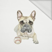 BULDOG / beżowy - panel dzianina pętelkowa 50cm x 60cm