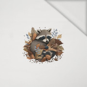 SLEEPING RACCOON - panel (40cm x 40cm) jersey wiskozowy 