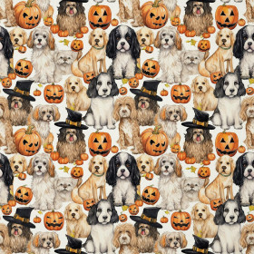 HALLOWEEN wz.6