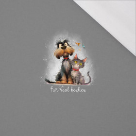 ANIMALS CUTE wz.14 - panel (60cm x 50cm) SINGLE JERSEY