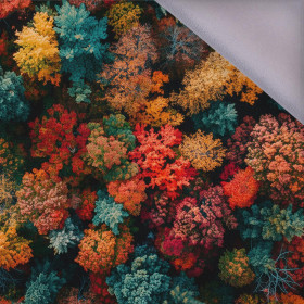 AUTUMN FOREST wz.4 - softshell