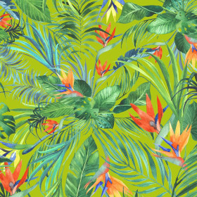 RAJSKA DŻUNGLA / WILD JUNGLE (MONSTERA)/ zielony