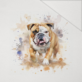 WATERCOLOR BULLDOG - PANEL (60cm x 50cm) Hydrofobowa dzianina drapana 