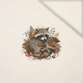 SLEEPING RACCOON - panel (40cm x 40cm) Len 100%