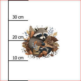 SLEEPING RACCOON - panel (40cm x 40cm) jersey wiskozowy 