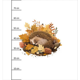 SLEEPING HEDGEHOG - PANEL (75cm x 80cm) dzianina drapana z elastanem ITY