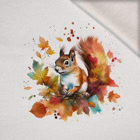 WATERCOLOR SQUIRREL - PANEL (75cm x 80cm) dzianina drapana z elastanem ITY