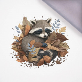 SLEEPING RACCOON - PANEL (75cm x 80cm) softshell