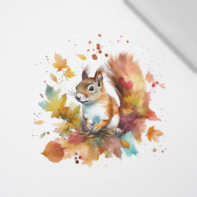 WATERCOLOR SQUIRREL - PANEL (60cm x 50cm) tkanina bawełniana