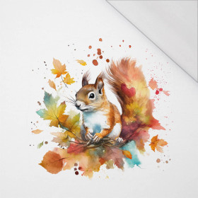 WATERCOLOR SQUIRREL - panel (75cm x 80cm) SINGLE JERSEY