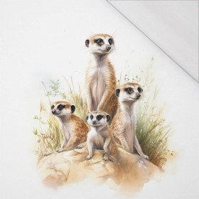 WATERCOLOR MEERKAT - panel (75cm x 80cm) SINGLE JERSEY