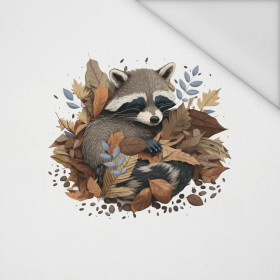 SLEEPING RACCOON - PANEL (60cm x 50cm) tkanina wodoodporna