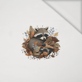SLEEPING RACCOON - panel (40cm x 40cm) jersey wiskozowy 