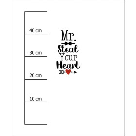 MR. STEAL YOUR HEART (BE MY VALENTINE) - PANEL SINGLE JERSEY 50cm x 60cm