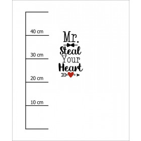 MR. STEAL YOUR HEART (BE MY VALENTINE) / M-01 melanż jasnoszary - panel dzianina pętelkowa 50cm x 60cm