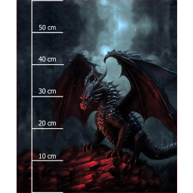 GOTHIC DRAGON - PANEL (60cm x 50cm) tkanina wodoodporna