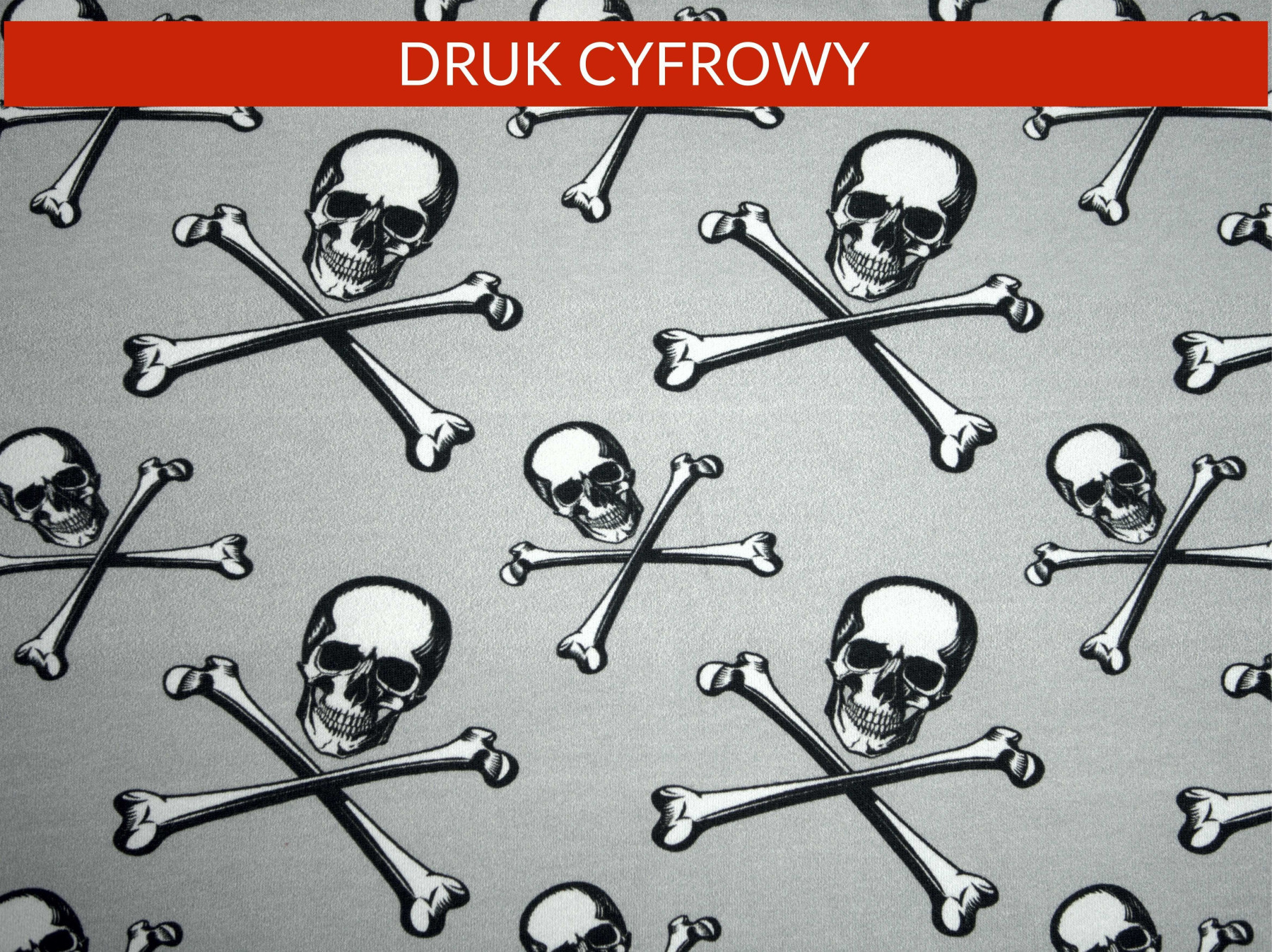 CZASZKI I KOŚCI - dresówka pętelkowa SP250