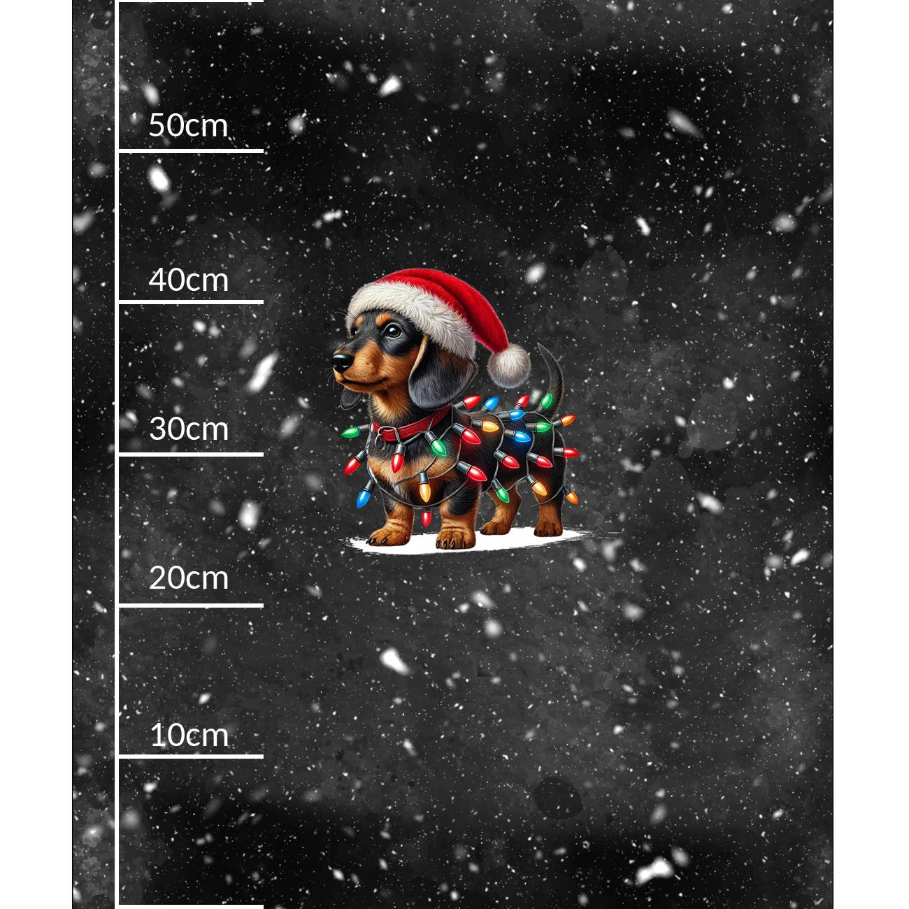CHRISTMAS DOG wz. 3 - PANEL (60cm x 50cm)