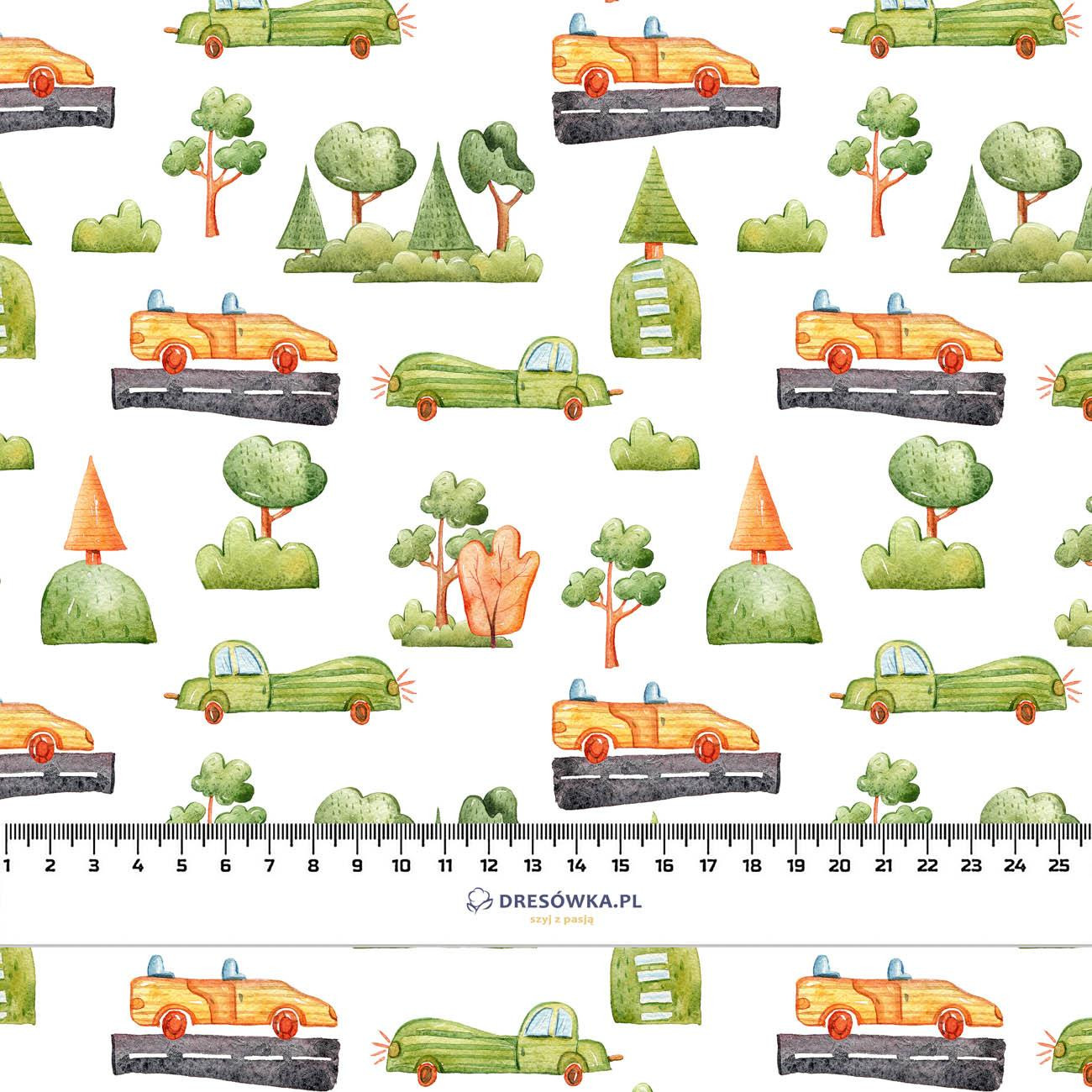 AUTA W PARKU (MIEJSKI ŚWIAT)