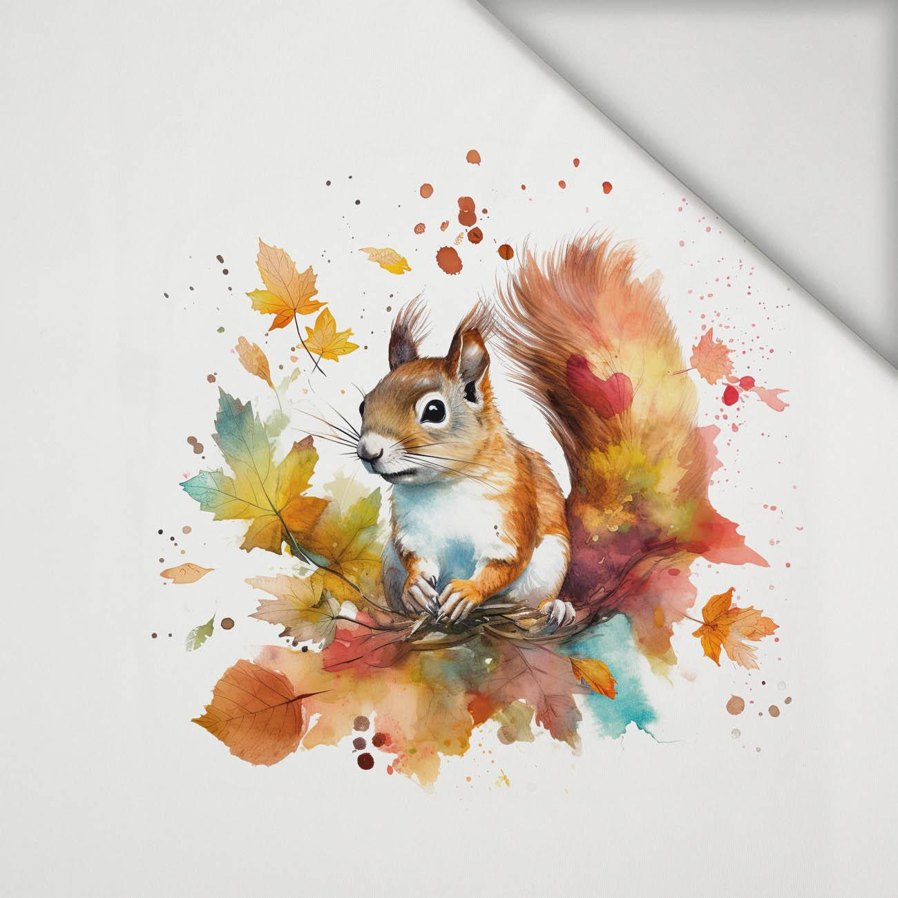 WATERCOLOR SQUIRREL - PANEL (75cm x 80cm) lycra 300g