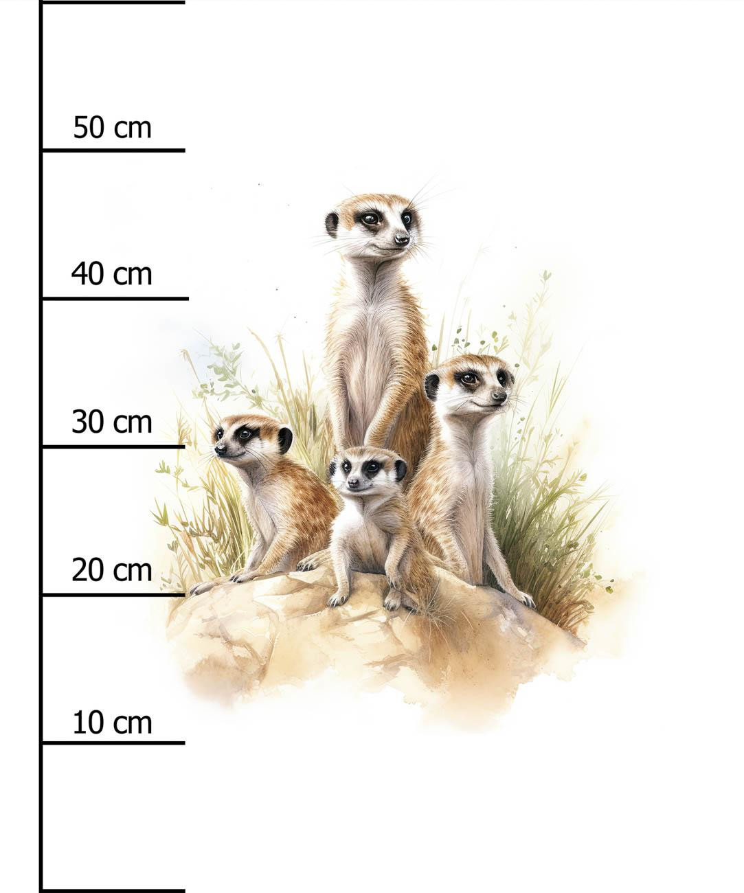 WATERCOLOR MEERKAT - panel (60cm x 50cm) lycra 300g