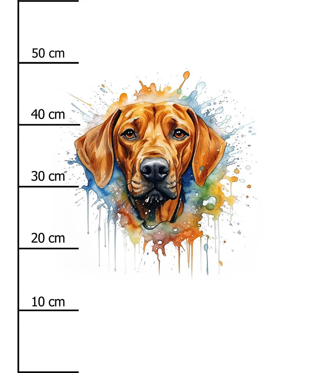 WATERCOLOR RIDGIE - PANEL (60cm x 50cm) SINGLE JERSEY