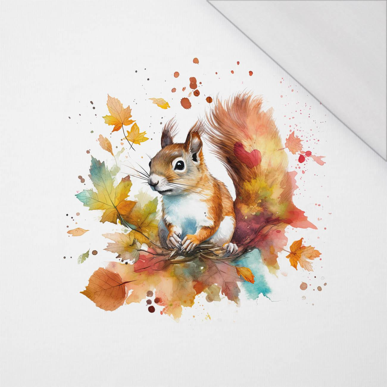 WATERCOLOR SQUIRREL - PANEL (60cm x 50cm) SINGLE JERSEY