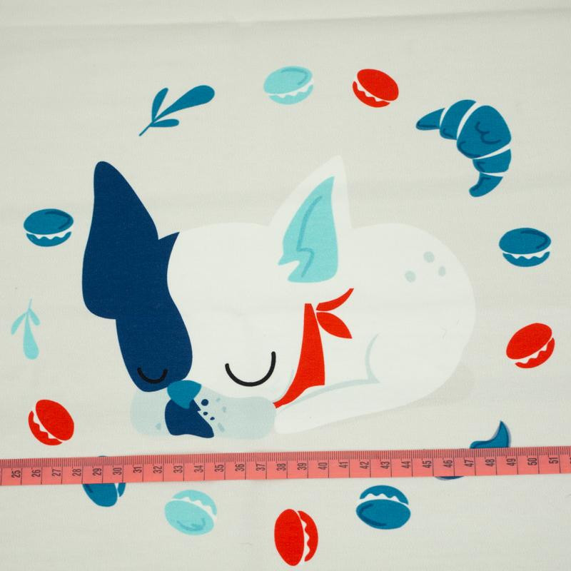 Śpiący pies (J'adore Paris) / aqua - panel dzianina pętelkowa 