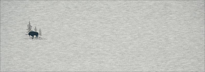 ŻUBR  (ADVENTURE) / melanż jasnoszary - Panel panoramiczny - dzianina pętelkowa z elastanem