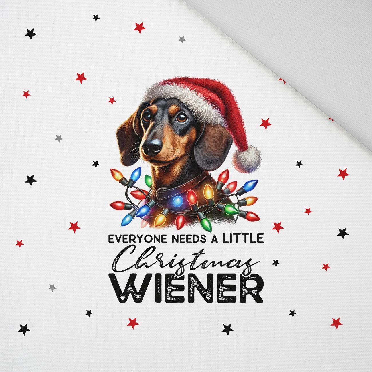 CHRISTMAS DOG wz. 4 - panel (60cm x 50cm) Panama 220g