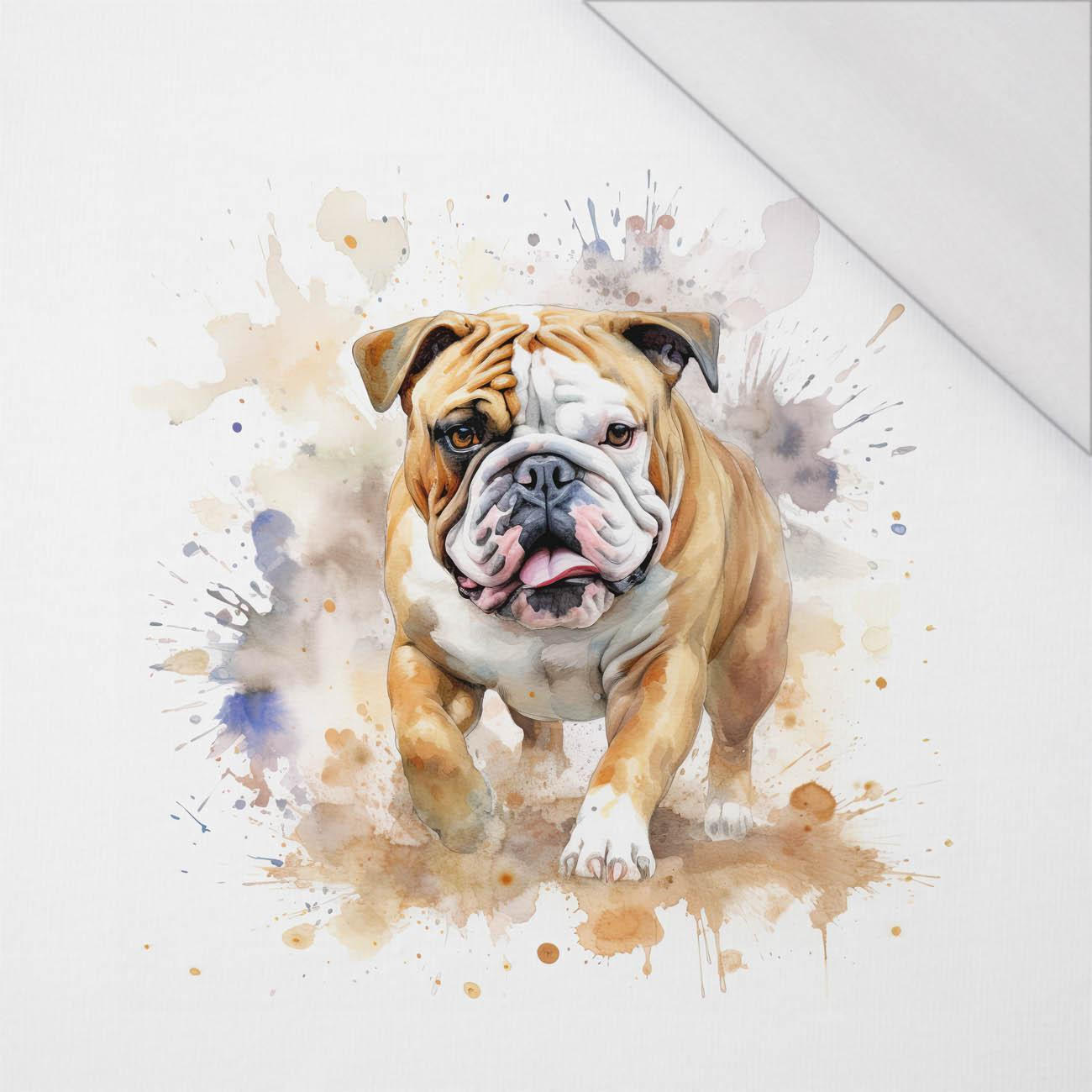 WATERCOLOR BULLDOG - panel (75cm x 80cm) SINGLE JERSEY