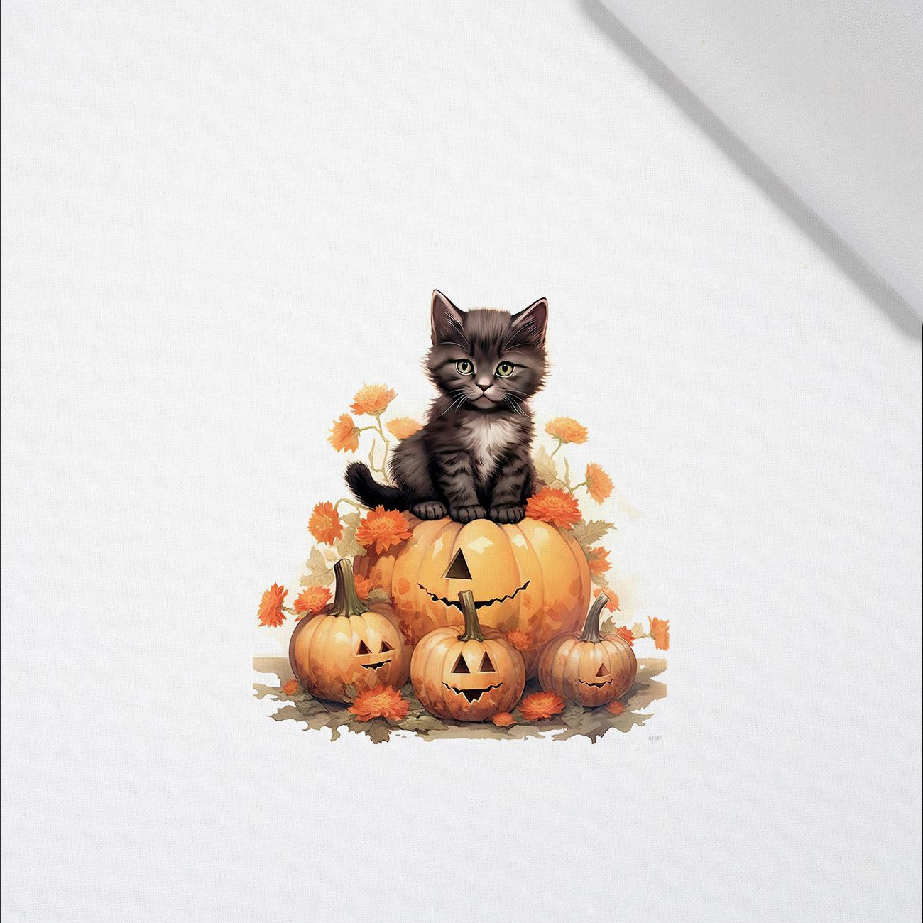 HALLOWEEN CAT - PANEL (60cm x 50cm) tkanina bawełniana