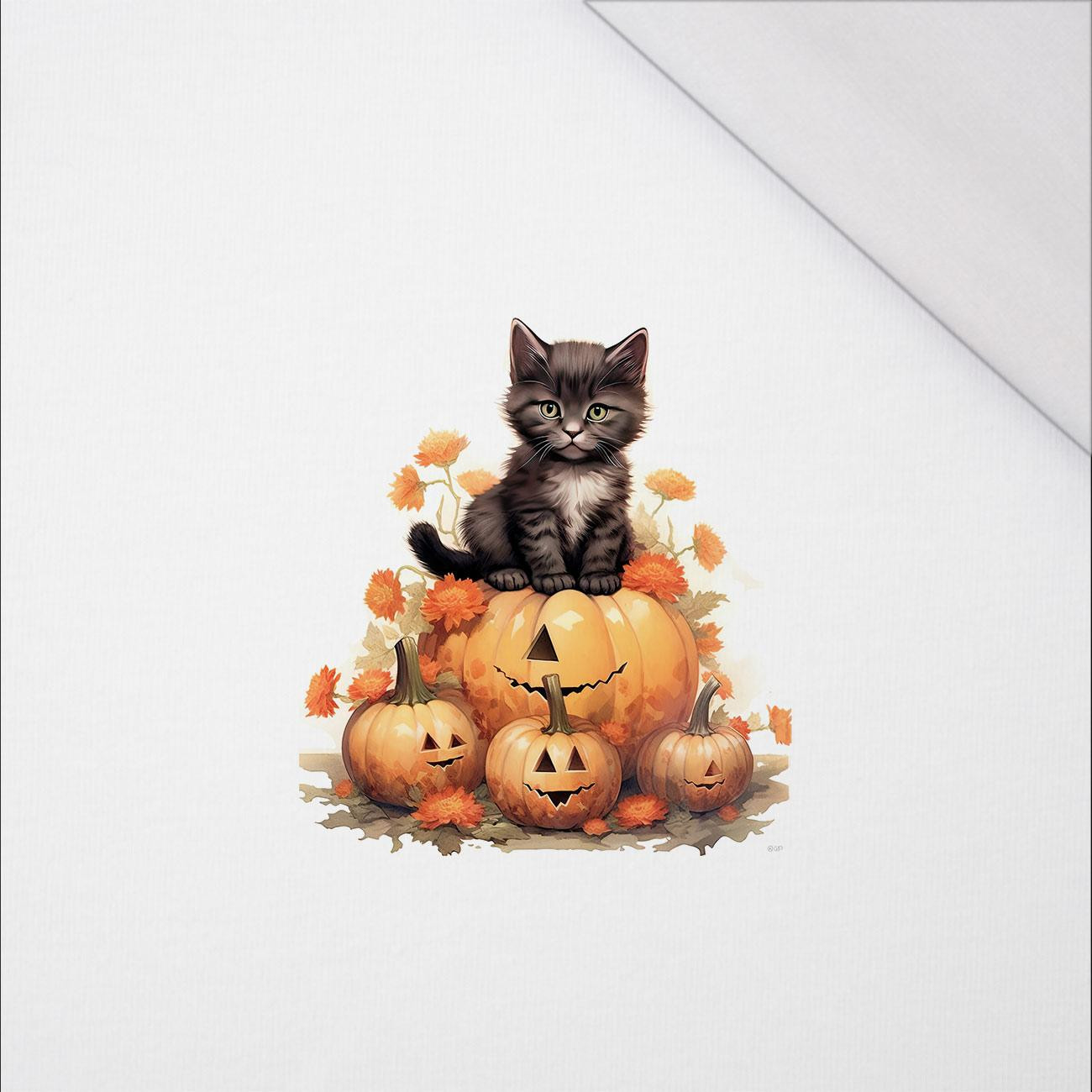 HALLOWEEN CAT - PANEL (60cm x 50cm) SINGLE JERSEY