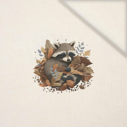 SLEEPING RACCOON - panel (40cm x 40cm) Len 100%