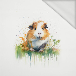 WATERCOLOR GUINEA PIG - panel (60cm x 50cm) dzianina pętelkowa