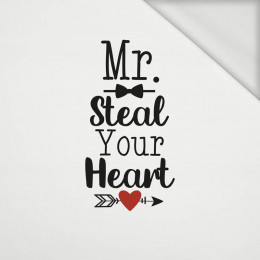 MR. STEAL YOUR HEART (BE MY VALENTINE) - panel dzianina pętelkowa 50cm x 60cm