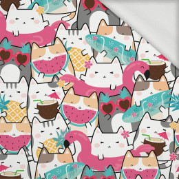 SUMMER CATS wz. 1 - dresówka pętelkowa