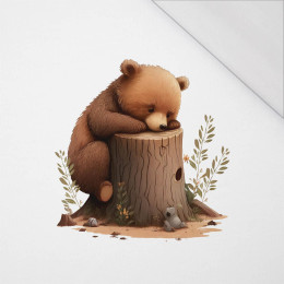 SLEEPING BEAR - PANEL (60cm x 50cm) SINGLE JERSEY