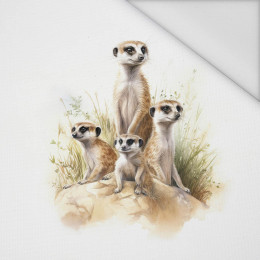 WATERCOLOR MEERKAT - PANEL (60cm x 50cm) tkanina wodoodporna