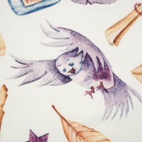 MAGICZNY ŚWIAT wz. 3 (MAGICZNA SZKOŁA) - dresówka pętelkowa