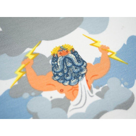 ZEUSY - Single Jersey TE210