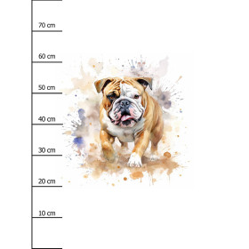 WATERCOLOR BULLDOG - panel (75cm x 80cm) SINGLE JERSEY