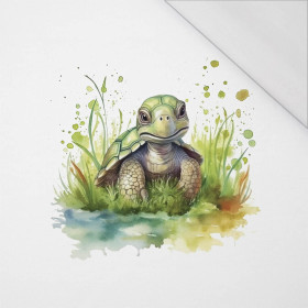 WATERCOLOR TORTOISE - PANEL (60cm x 50cm) SINGLE JERSEY