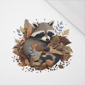 SLEEPING RACCOON - panel (75cm x 80cm) SINGLE JERSEY