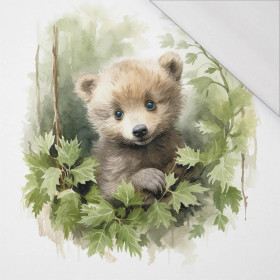 WATERCOLOR LITTLE BEAR - panel (75cm x 80cm) SINGLE JERSEY