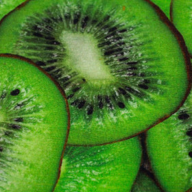 KIWI - single jersey z elastanem TE210