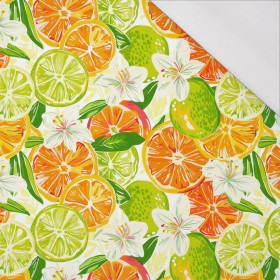 Tutti Frutti wz. 10 - single jersey 