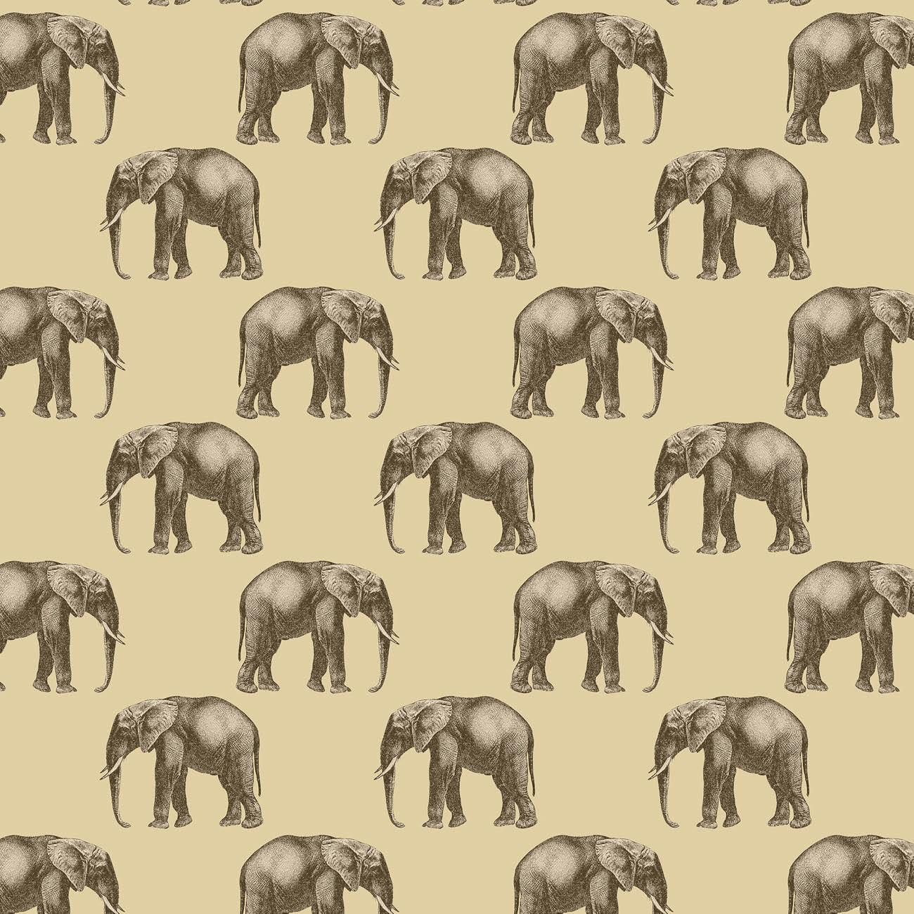 ELEPHANTS (SAFARI)