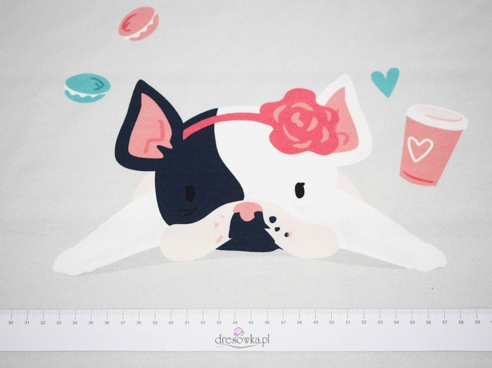 Dog with headband (J'adore Paris) / peach - panel single jersey TE210